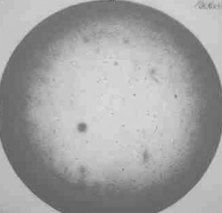 Fig. 9. Pressure distribution in conventional hot embossing. fig 9