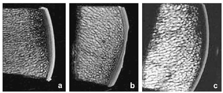 Fig. 3. Typical MRI images. fig 3
