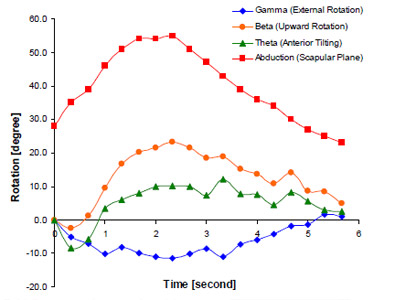 Biomechanics Figure 29 Euler angular rotations of the glenoid normalized to the initial position and humeral abduction / adduction relative to the vertical versus the cycle time. Error bars not shown because they are too small to clearly render.