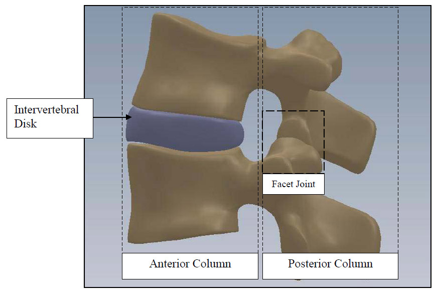 Figure 1: FSU Sagittal View fig 1