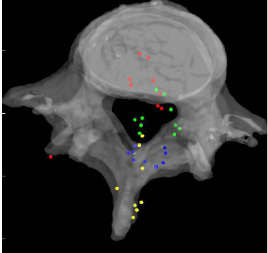 Figure 24: Mean HAM Intersections during Axial Torsion fig 24