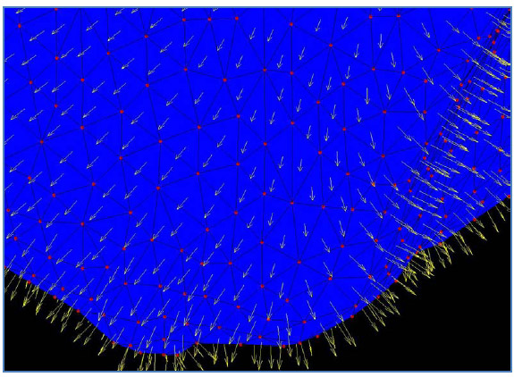 Figure 31: STL Surface Definition fig 31