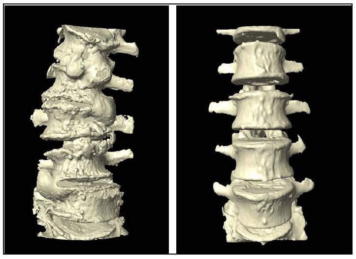 Figure 40: Example of Specimen Variability fig 40