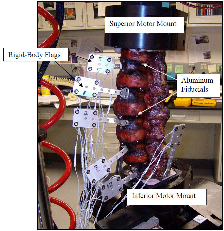 Figure 6: Specimen Loaded on Test Apparatus fig 6