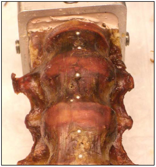 Figure 7: Fiducials Placed on Specimen fig 7