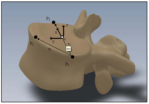 Figure 9: Definition of Anatomical Coordinate System figure 9