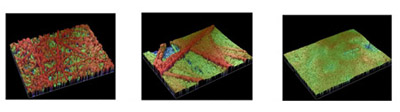 Fig. 1. Surface characteristics of the test samples as imaged by surface profilometer. fig 1