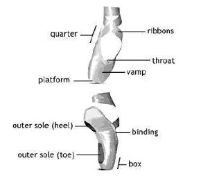 Podiatry Figure 1. The parts of a pointe shoe. The toe box is indicated and the hard shank lies along the arch. For additional support ribbons are attached (Parts of the pointe shoe, n.d.).
