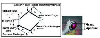 Flex Sensor Figure 2. Proposed grasp model showing grasp aperture (β) as dictated by distance (d) between tip of index finger and thumb. Hand shows application concept for model. MCP = metacarpophalangeal, PIP = proximal interphalangeal, θ = joint angles, B = base frame.