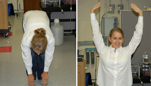Pictures Showing Toe Touches to Arm Raises Used in the In-Wear Garment Test Figure 11: Pictures Showing Toe Touches to Arm Raises Used in the In-Wear Garment Test