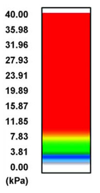 fig 3 scale
