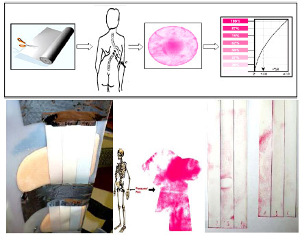 Figure 4. : PRESSUREX sensor films during measurement process. measurement process