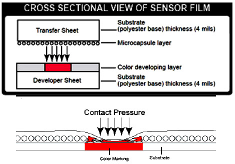 Figure 1. : pressure sensor films PRESSUREX<sup>®</sup> pressure sensor