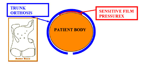 Figure 2. : scheme of measurement system between body and trunk scheme measurement