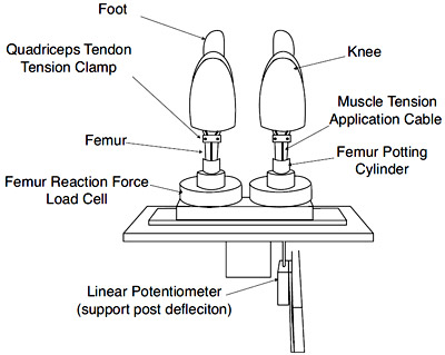 Figure 5. Top view of knee-mounting scheme. figure 5