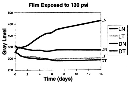 Gray level of Fuji film exposed to 130 psi over time for four conditions: exposed to light and taped (LI), exposed to light and not taped (LN), stored in dark and taped (DI), and stored in dark and not taped (DN). Figure 1. Gray level of Fuji film exposed to 130 psi over time for four conditions: exposed to light and taped (LI), exposed to light and not taped (LN), stored in dark and taped (DI), and stored in dark and not taped (DN).