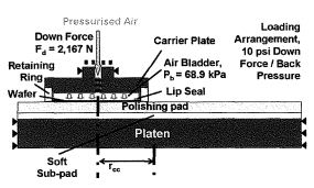 Schematic illustration of the FE model of lip seal
carrier illustrating 