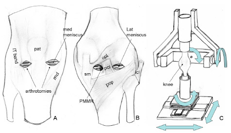 Biomechanics - Fig.1