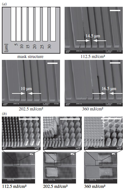 Biomechanics - Fig.5